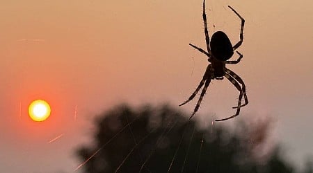 Heat wave, wildfires bring smoky skies to western Washington. How long will it last?