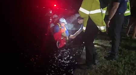 WATCH: Residents and dog rescued from Hurricane Helene floodwaters