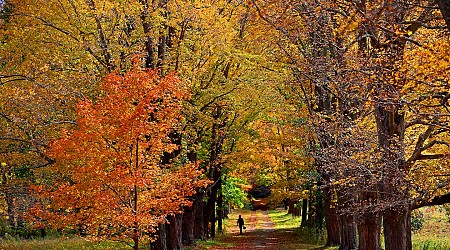 Warming trend moves in today across Boston