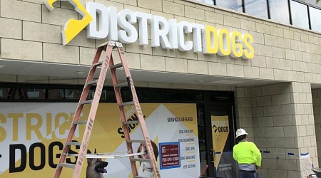 “District Dogs required to make safety and emergency preparedness improvements at all DC locations, as well as pay $100,000, and keep its Rhode Island Ave location permanently closed.”