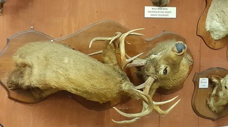 Valley County Pioneer Museum in Glasgow, Montana