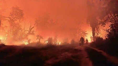 Bolivia declara emergencia nacional por incendios forestales