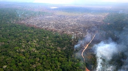 Brazil urges EU to suspend 'punitive' anti-deforestation law