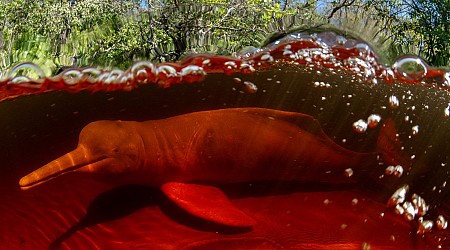 Nat Geo Explorers Explored 4,000 Miles to Capture Photos of the Amazon River Basin