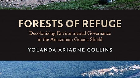 As renewable energy demand rises, mining for minerals in the Amazon is at a critical point