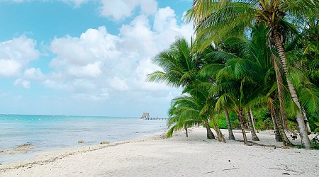 Last minute direct flights from Brussels to Dominican Republic for €441