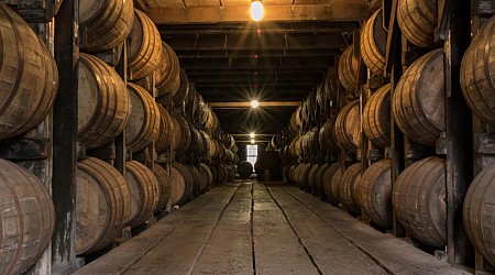 Jack Daniel's shares concerns about future of its product: 'No one cares about regeneration until you tell them it will impact their bourbon'