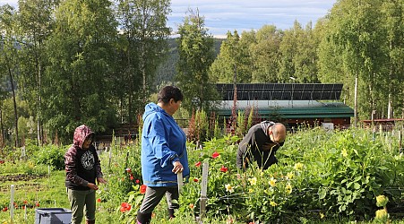 Climate change makes farming easier in Alaska. Indigenous growers hope to lead the way