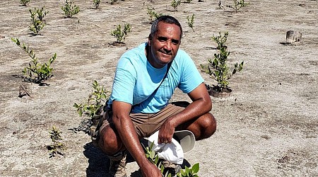 How Does Restoring Mangroves Make A Better Life For Fishers In Haiti?