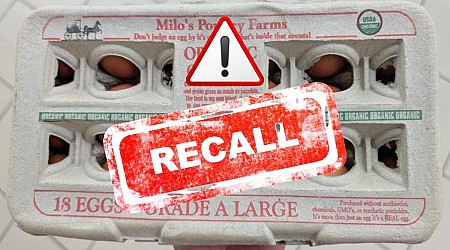 Wisconsin Egg Recall Now Upgraded, Serious Illness Or Death Risks