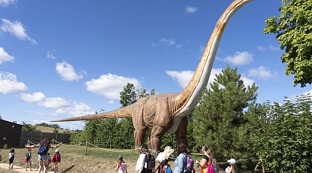 Cinq parcs à thème à visiter en famille