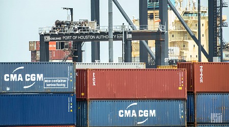 Borderlands Mexico: Gulf Coast ports slam US tariffs on Chinese container cranes