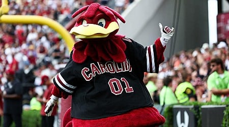 How to watch South Carolina Gamecocks vs. Ole Miss Rebels: Live stream, TV channel, start time for Saturday's college football game