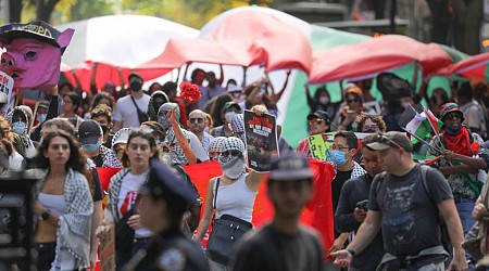 Protesters celebrating Oct. 7 horrors across NYC are showing us all their true cause