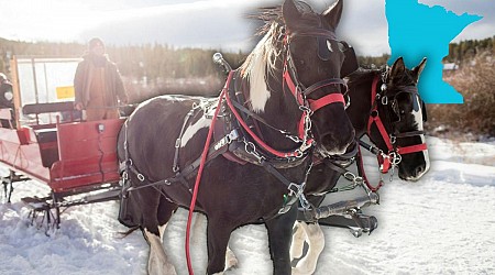 Sleigh Rides Are Back At Popular Brewery In Rochester, MN!