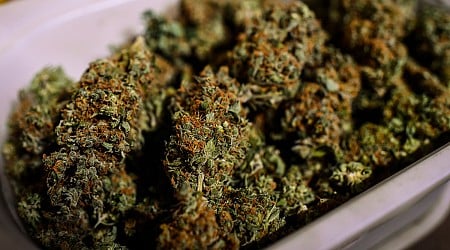 Cannabis commission to ease up on Massachusetts delivery rules