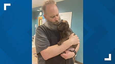 Stolen puppy from Oregon Humane Society found safe