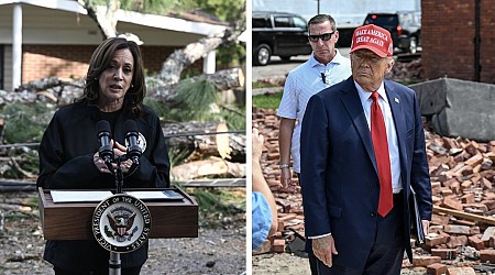 In Georgia, Trump and Harris locked in tight race