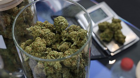 Minnesota on Pace to Be Top 5 Slowest Marijuana Rollout