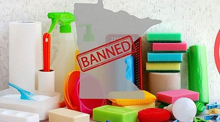 Thousands of Household Items Now Set to Be Banned in Minnesota