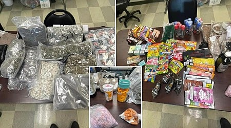 Sheriffs invite owner of large drug stash found in Hurricane Helene cleanup to retrieve it: ‘Please come see us’