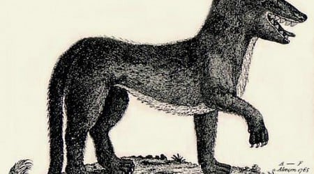 Beast of Gévaudan