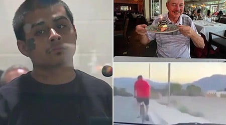 Vegas teen Jesus Ayala accused of killing retired police chief in hit-and-run found unfit to stand trial