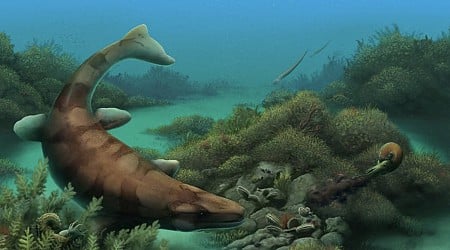 Nubby-Toothed Sea Monster Once Prowled Texas Seas, Recent Fossil Discovery Suggests