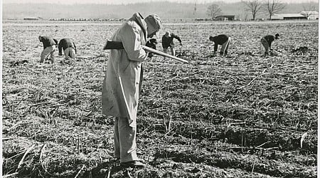 Historic New Orleans Collection Explores Human Tragedy Of Mass Incarceration In Louisiana