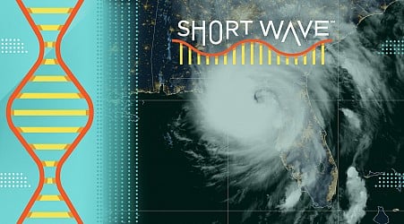 Here's how Hurricane Helene turned into a major storm