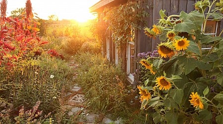 “The Old Farmer’s Almanac” Predicts a Very Hot Start to Fall — but That’s Not All