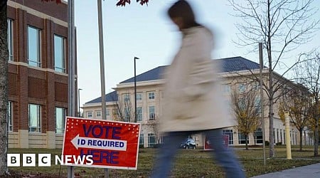 Georgia elections board to require hand count of ballots