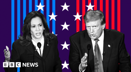 'Left-wing lunatic' and 'a disgrace': How Trump and Harris describe each other