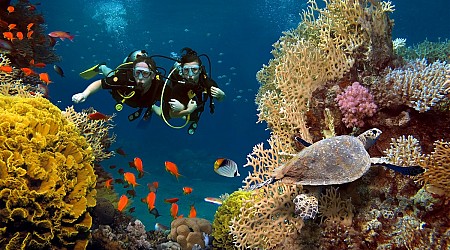 10 Of The Best Scuba Diving Destinations In The World You Can't Miss