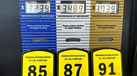 Gasoline and Oil Prices