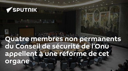 Quatre membres non permanents du Conseil de sécurité de l’Onu appellent à une réforme de cet organe