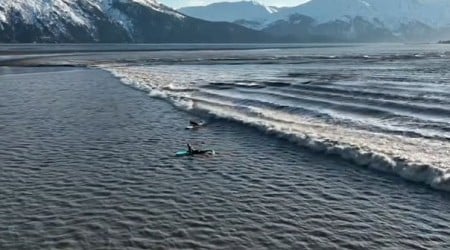 Internet in Awe As Surfers Ride 'Insane' Rare Wave in Alaska