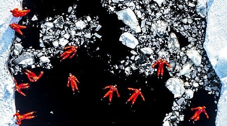 World Drone Photography Awards 2024 Announced