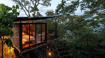 An Elevated Room Surrounded By Trees In The Jungle