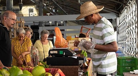 Martinique. Écarts de prix, pauvreté… Ces quatre graphiques qui illustrent la vie chère sur l’île