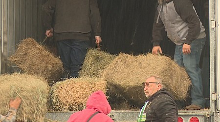 Wisconsinites come together for hurricane Helene