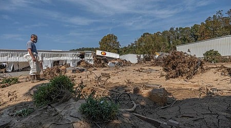 Where an Asheville family was swept away by Helene's floodwaters, a rose bush blooms