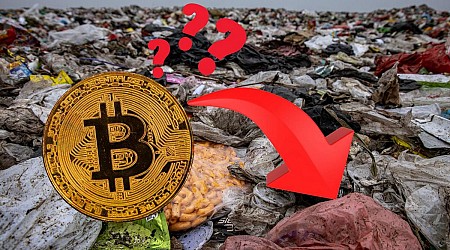 Man Suing City for $647 Million over Bitcoin in Landfill