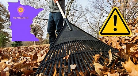 Minnesota Issues Warning About Leaves In Streets And Gutters