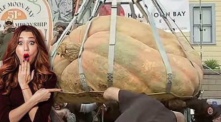 Minnesotan Wins Pumpkin Weigh-Off with Monstrous Gourd