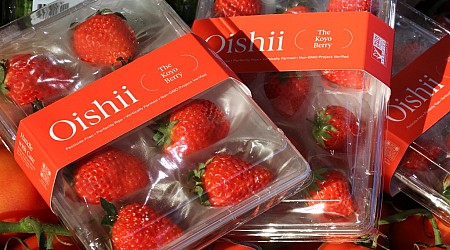 Are the $10 Oishii strawberries worth it?