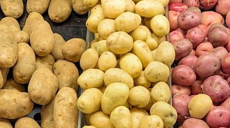 Interview: Wisconsin's potato industry