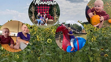 Have You Visited Minnesota’s Most Epic Pumpkin Patch?