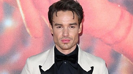 Liam Payne's former One Direction bandmates say they are "completely devastated" by his death