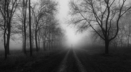 The 20 Most Haunted Highways on Earth